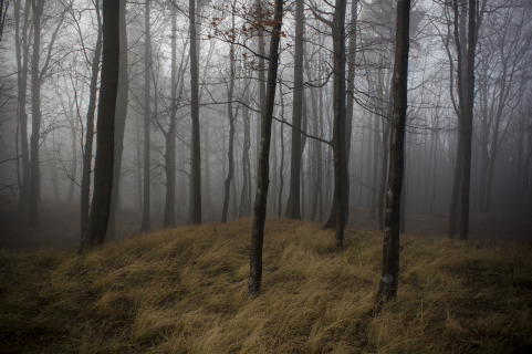 Hostýn - Keltské oppidum