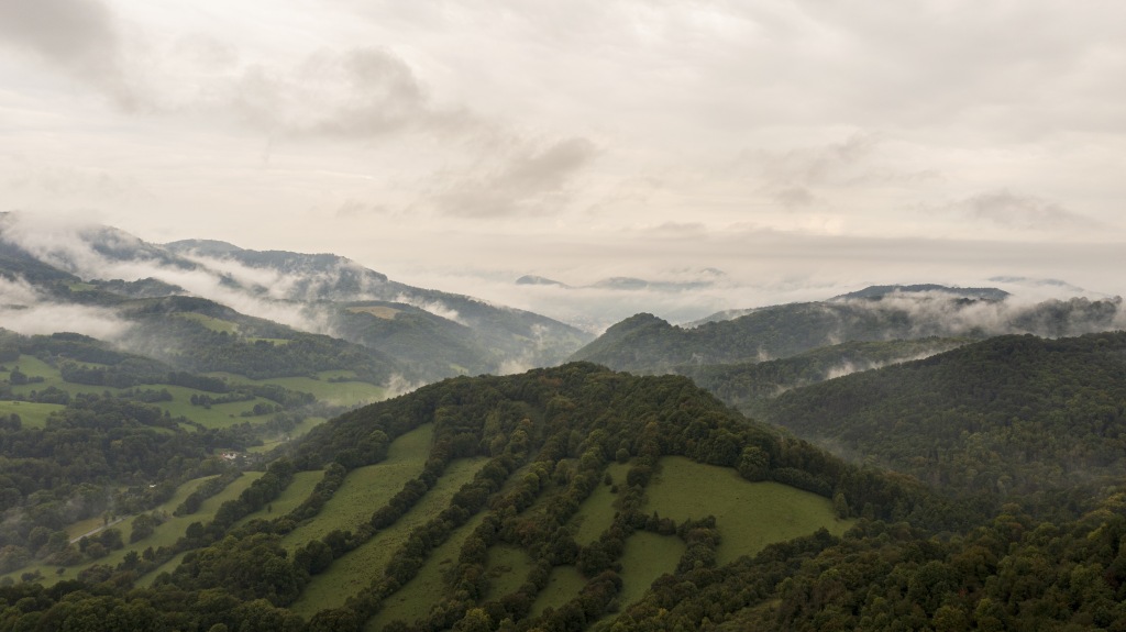 DJI_0512